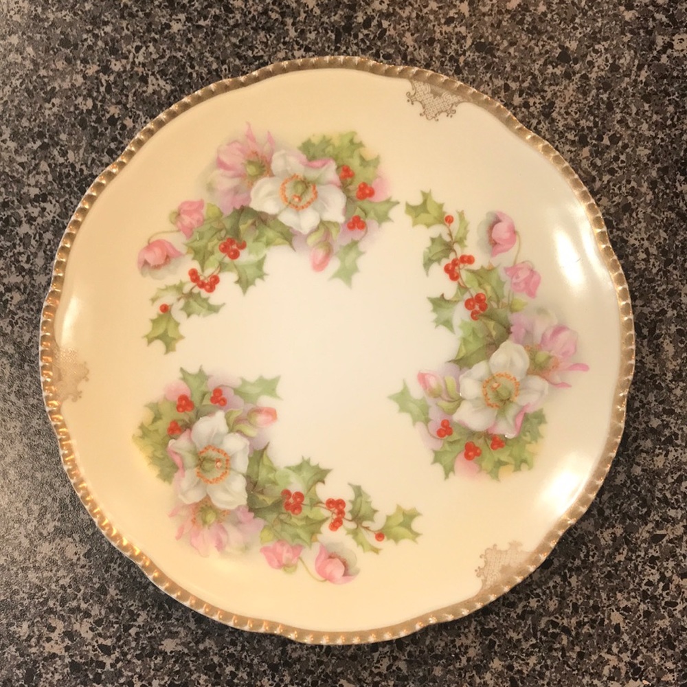 Vintage Royal Rudolstadt Prussia Porcelain Holly Wild Rose